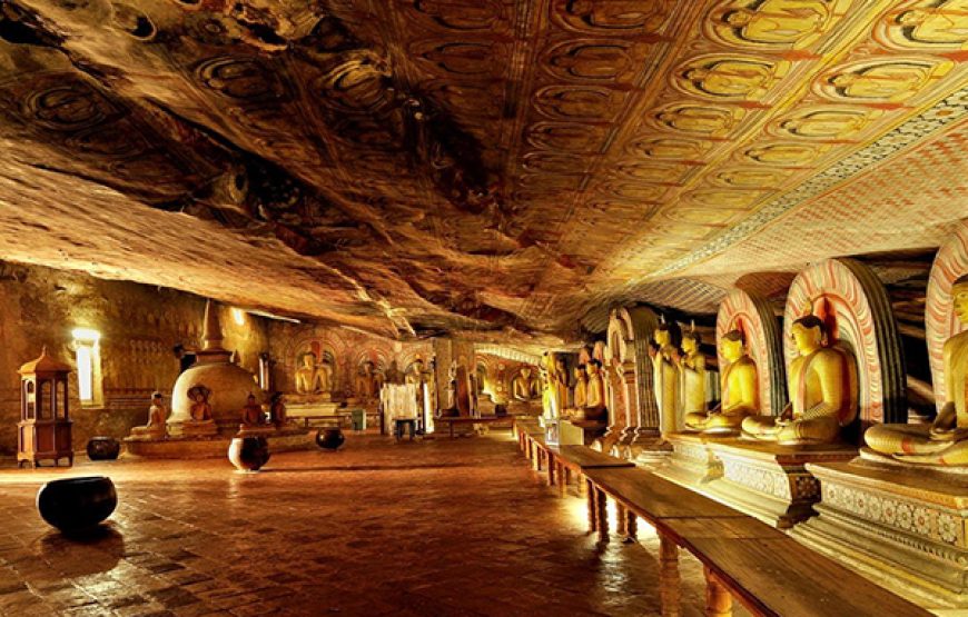 Experience the Magic of Sri Lanka 7 Days Adventure