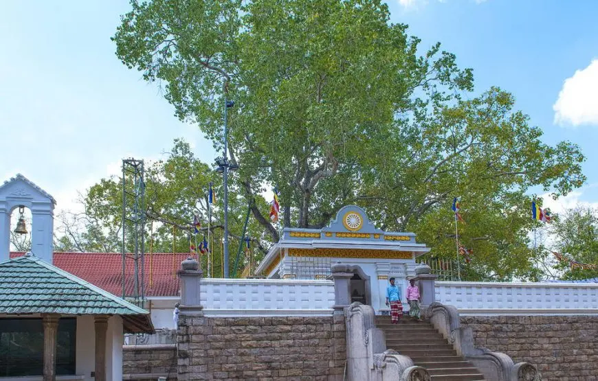 Anuradhapura Day Tour – Private