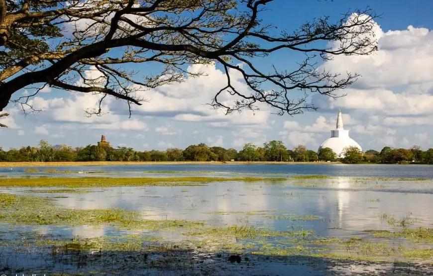 Anuradhapura Day Tour – Private