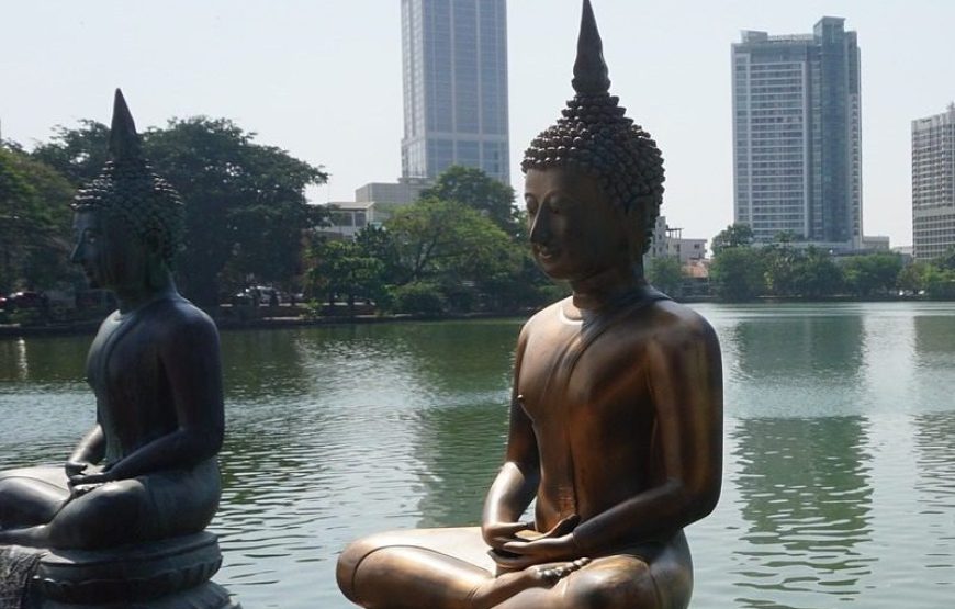 Sightseeing Tour Colombo