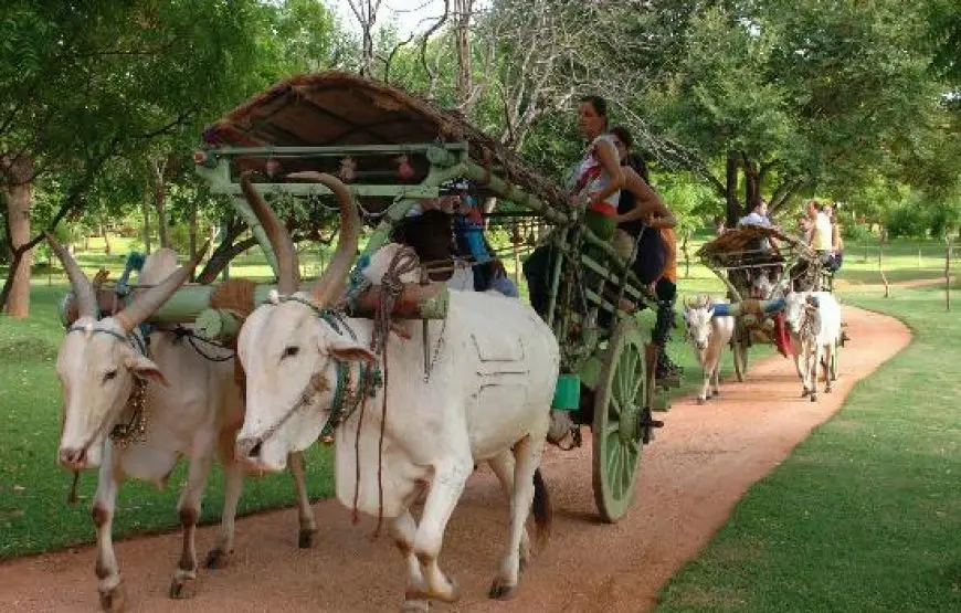 Sigiriya Day Trip from Colombo