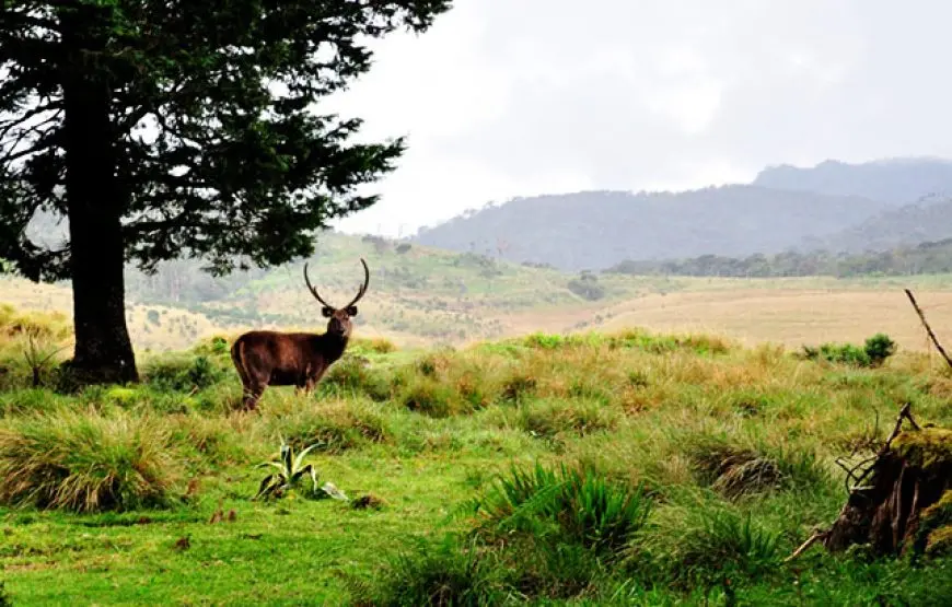 16-Day Hiking Tour of Sri Lanka