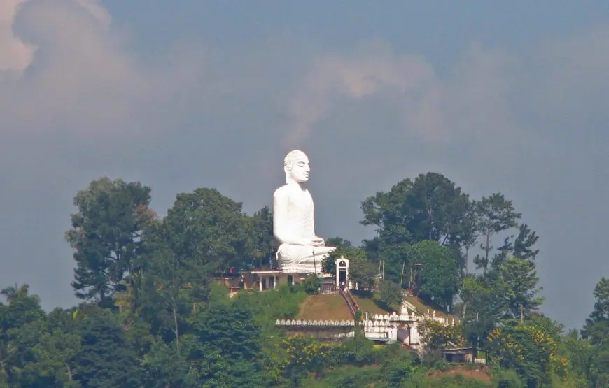 Kandy Day Tour from Colombo