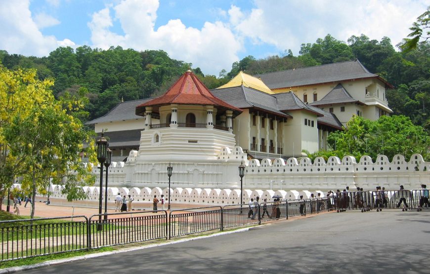 Kandy Day Trips