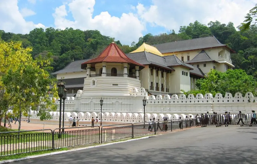 Kandy Day Tour from Colombo