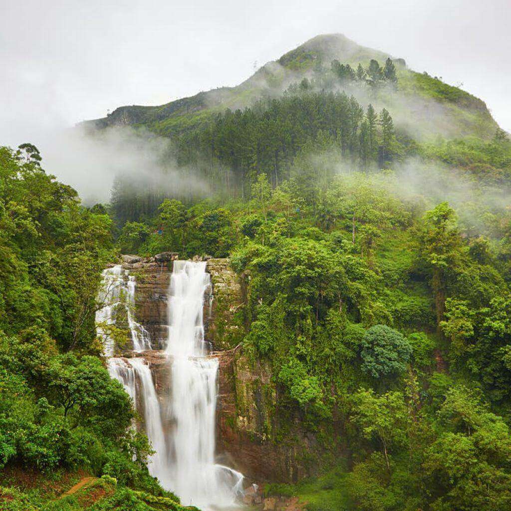 A tall waterfall below a forested, mist-covered mountain