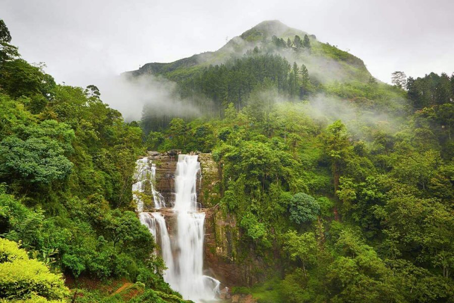 A tall waterfall below a forested, mist-covered mountain