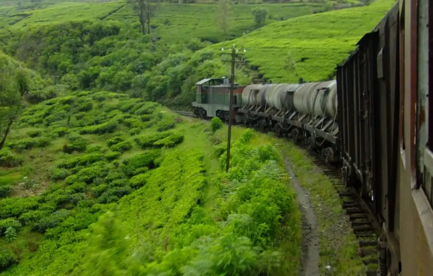 Explore the Beauty of Sri Lanka