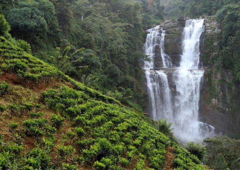 Day 2: The Path of the Messenger (Ramboda & Nuwara Eliya)