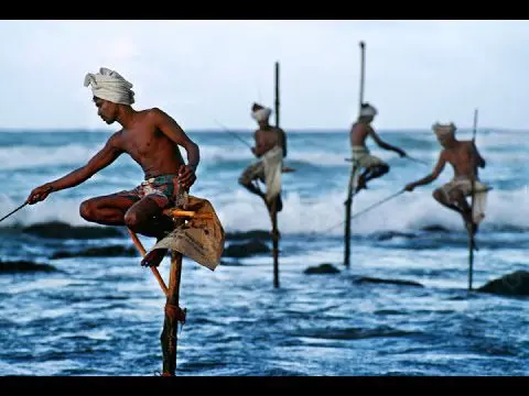 Stilt Fishermen