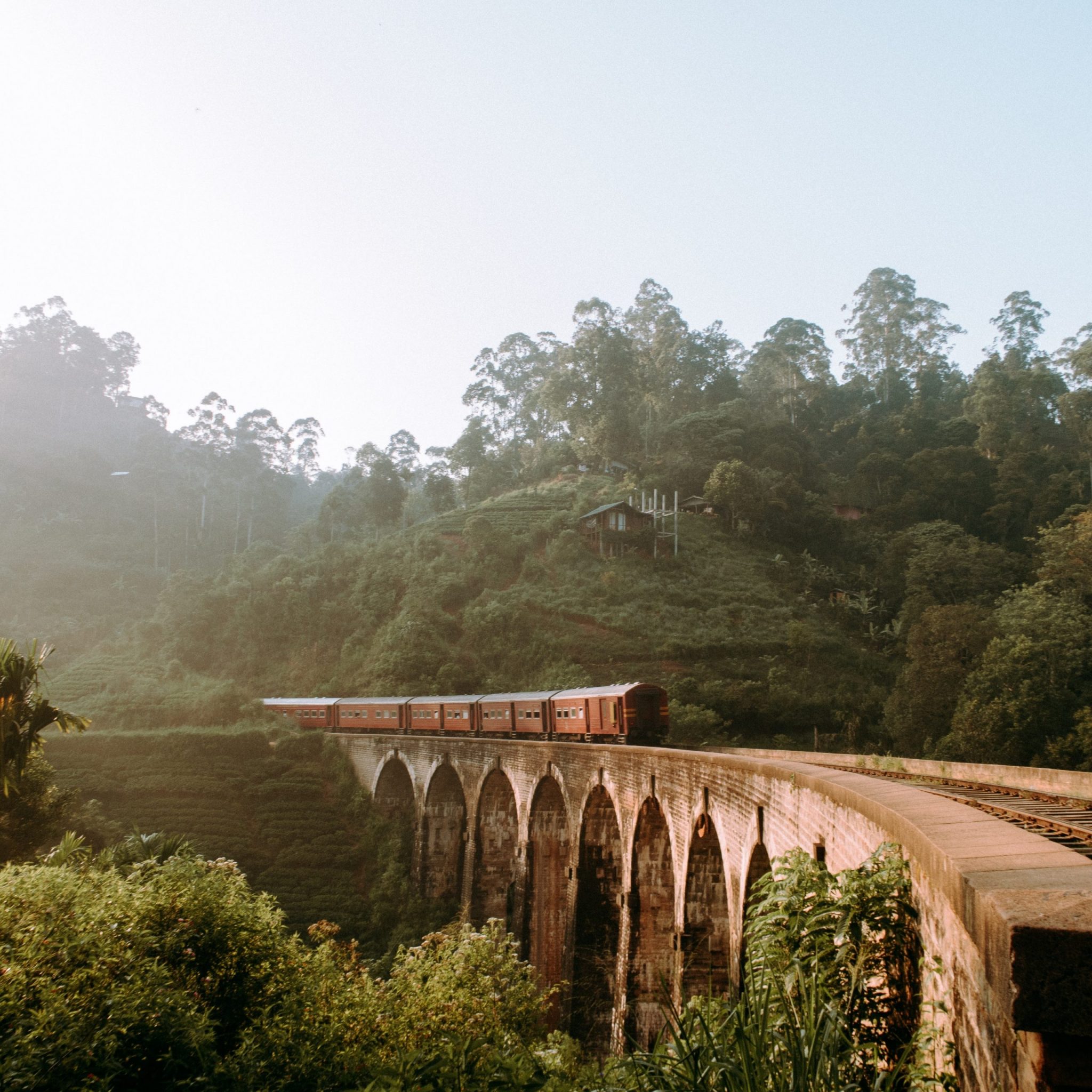 Day 8: Nuwara Eliya City Tour and Scenic Train Journey to Ella 