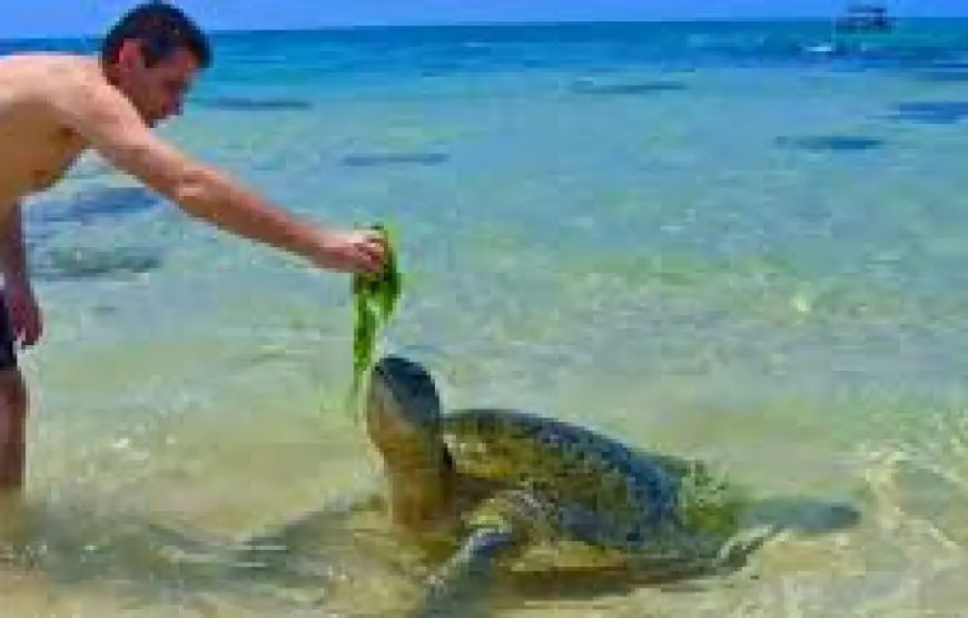 4-Day Beach Tour of Sri Lanka