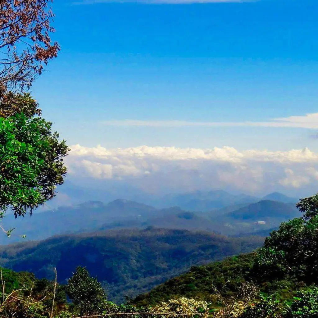 Forest and distant blue mountain ridges seen from Piduruthalagala