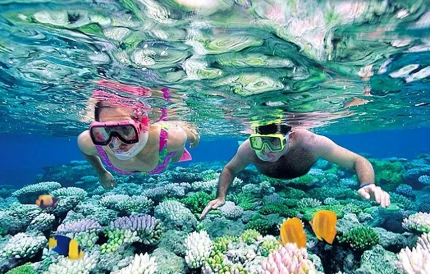 4-Day Beach Tour of Sri Lanka