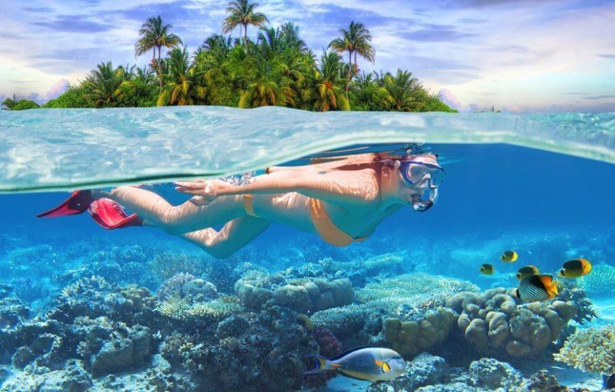 Bentota Day Tour from Colombo
