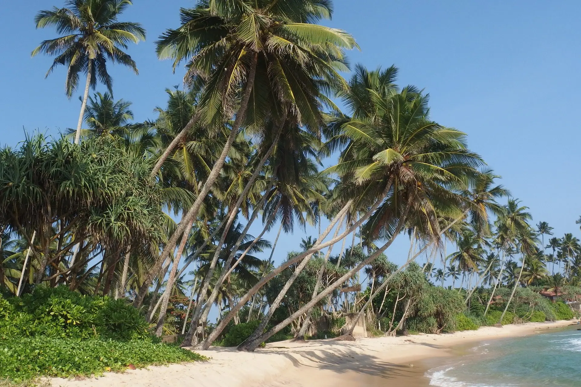 Tropical beaches