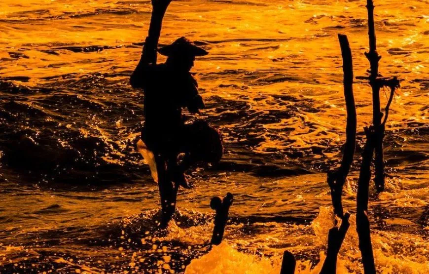 Romantic 8-Day Honeymoon Tour Package in Sri Lanka Luxury, Beaches, and Adventure