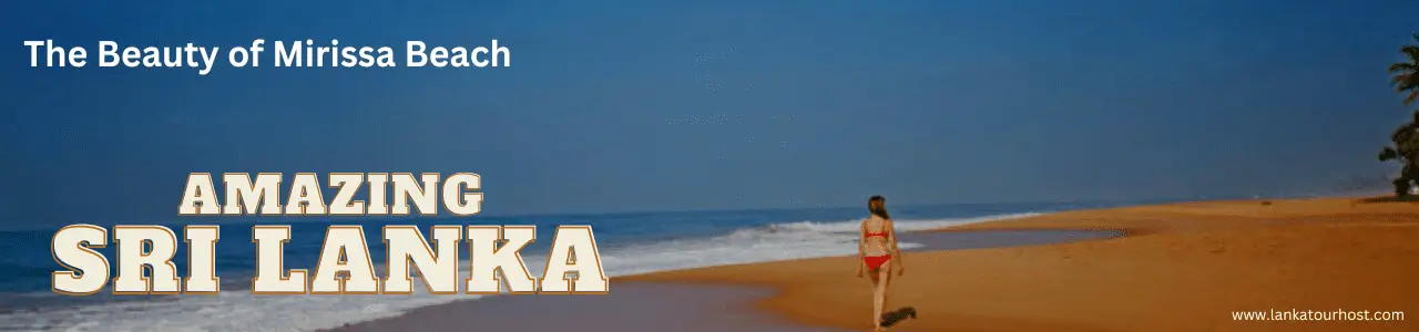 The Beauty of Mirissa Beach