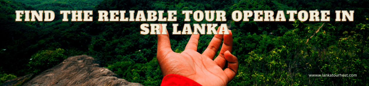Find the Reliable Tour Operator in Sri Lanka