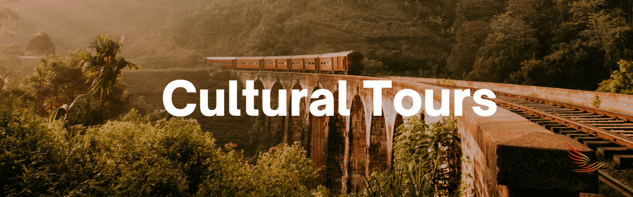 Cultural Tours