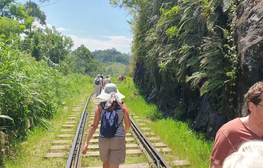 Ella and Yala National Park Tour from Colombo