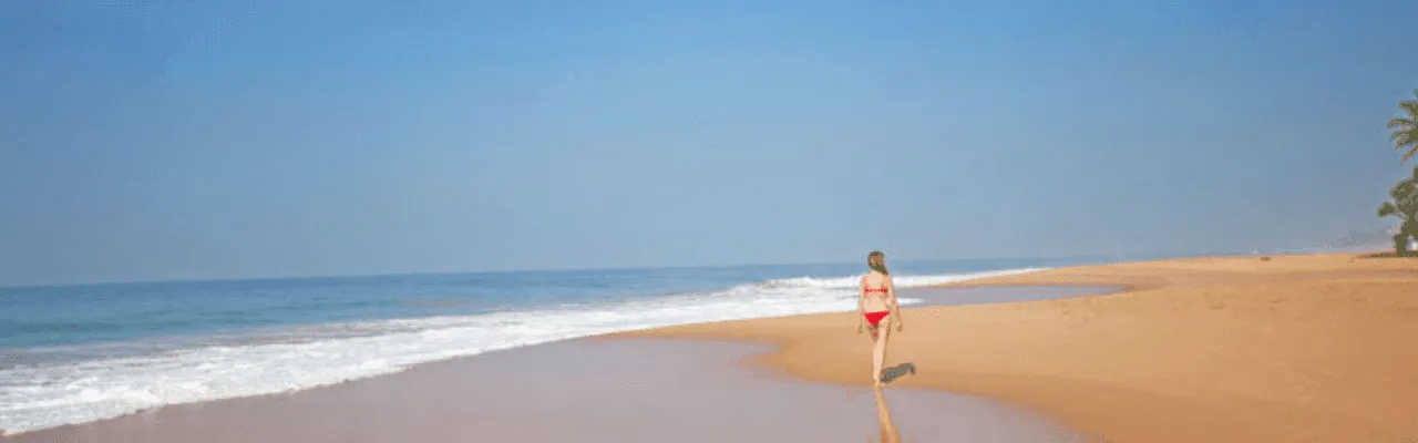Tour Operator Sri Lanka - Your Ultimate Guide to a December Visit
