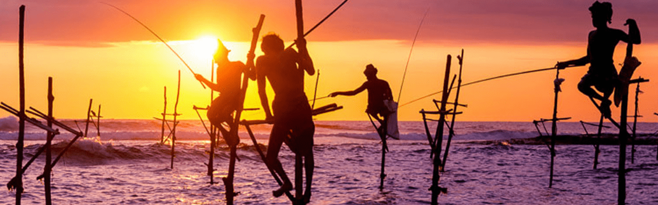 Tour Operator Sri Lanka - Your Ultimate Guide to a December Visit