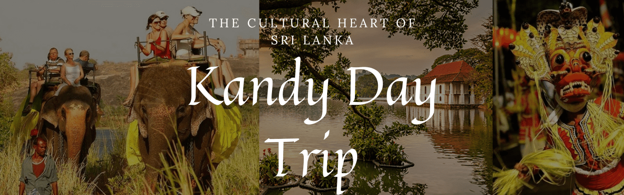 Day Trips from Colombo