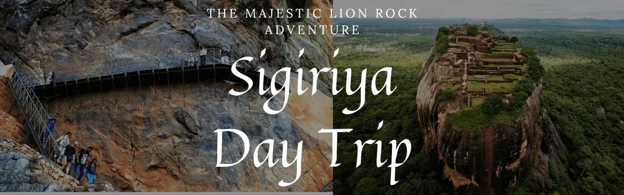 Day Trips from Colombo