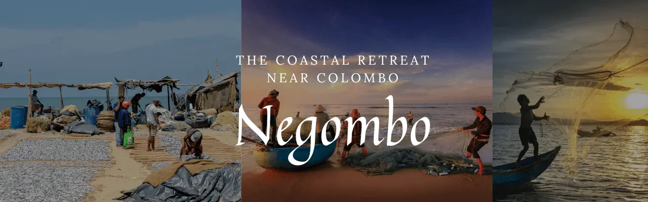 Day Trips from Colombo