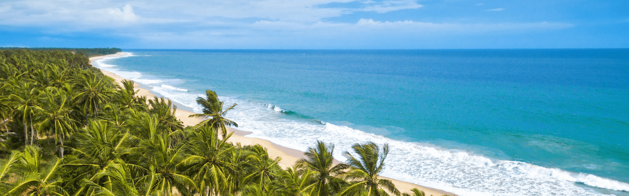 Explore the Coastal Wonders of Sri Lanka with Top Tour Operators