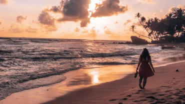A woman walking along a beach at sunset beneath palm trees