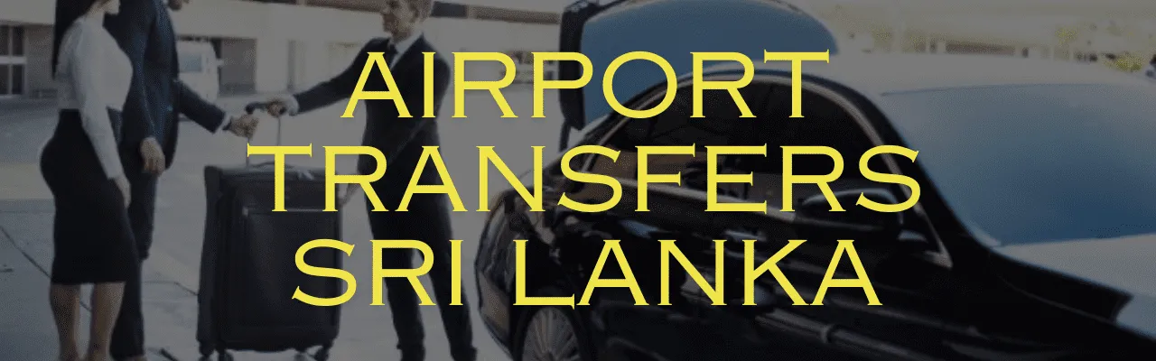 Airport transfers in Sri Lanka with Drop Me Soon