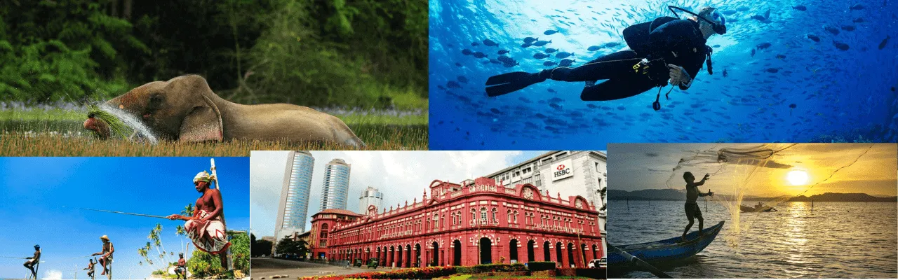 Explore Sri Lanka