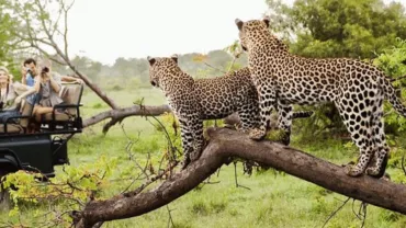 Exploring the Natural Wonders
