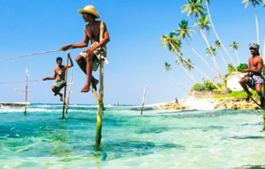 Day Tours from Colombo