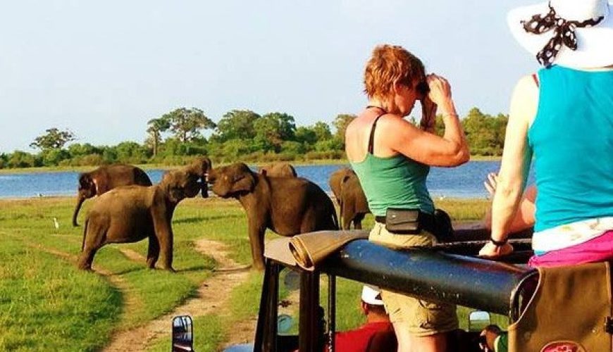 Experience the Wonders of Sri Lanka 10 Days Adventure