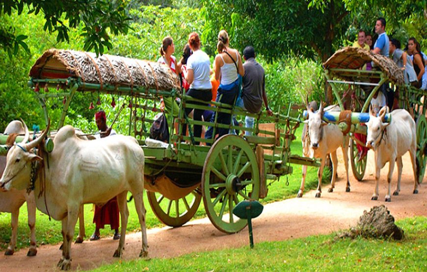 Village Tour Habarana