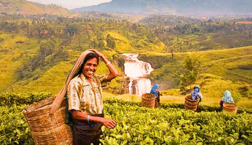 Experience the 04 Days Hill Breeze Tour