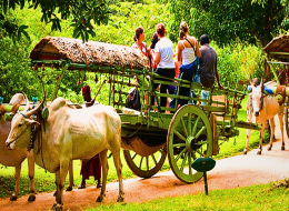 Adventure Tours Sri Lanka – 10 Days