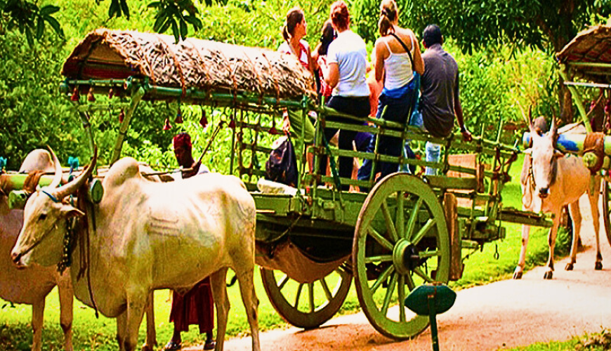 Adventure Tours Sri Lanka – 10 Days