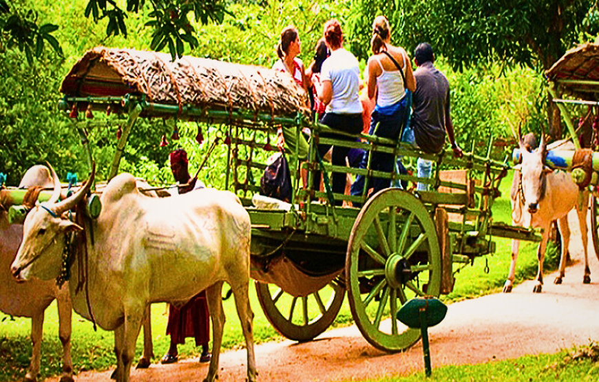 Tour Packages in Sri Lanka 15 Days