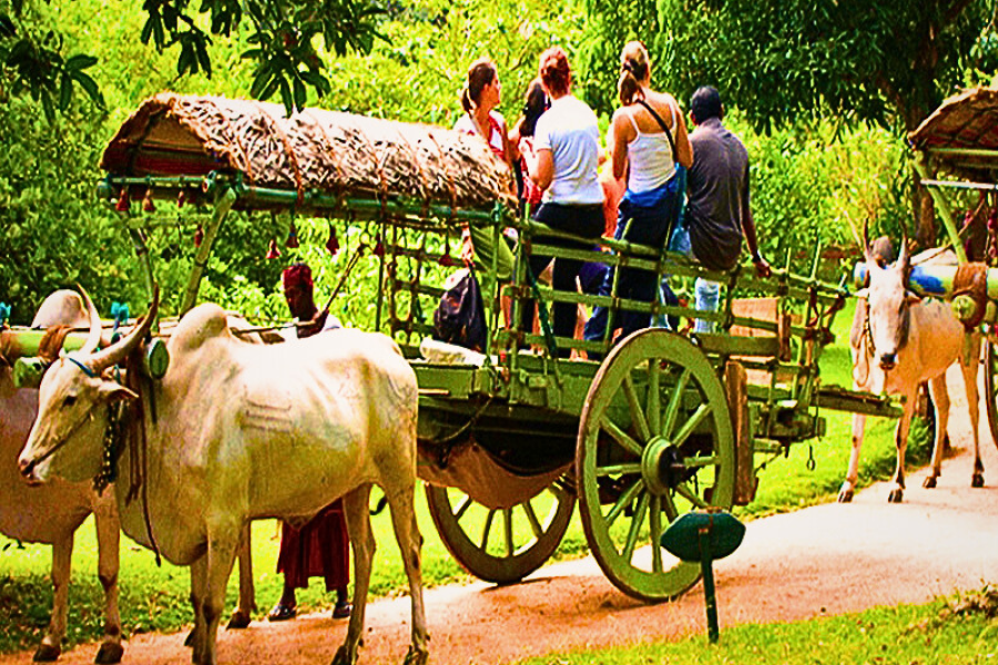 Adventure Tours Sri Lanka – 10 Days