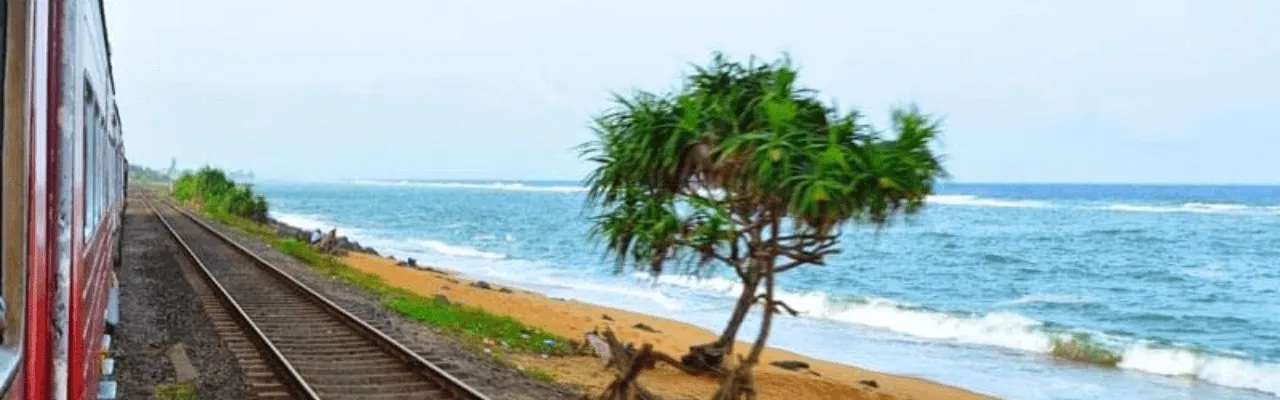Exploring the Scenic Marvels of Sri Lanka