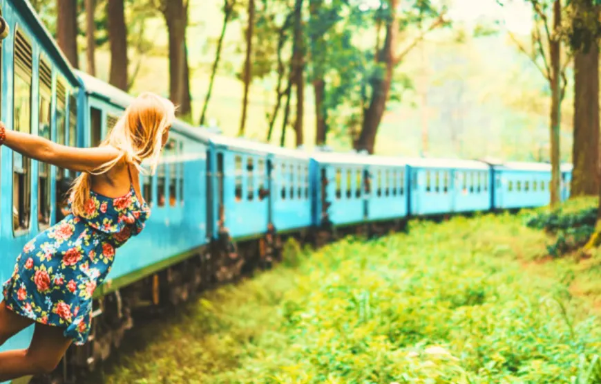 Hill Breeze: 4-Day Hill Country Tour of Sri Lanka