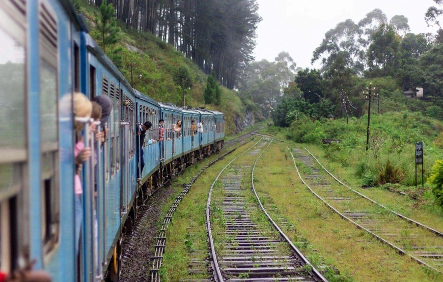 Romantic 8-Day Honeymoon Tour Package in Sri Lanka Luxury, Beaches, and Adventure