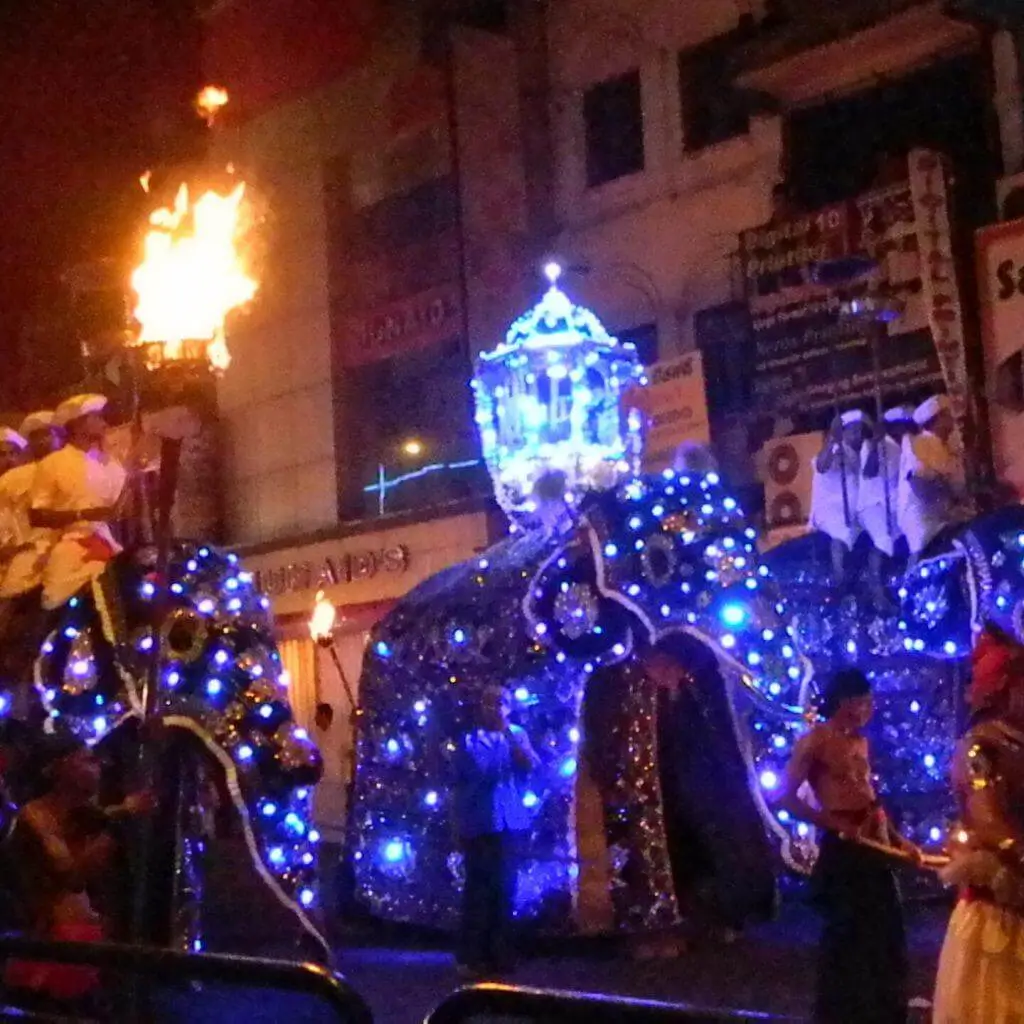 Decorated elephants and a fire torch at the Kandy Esala Perahera at night