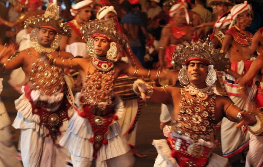 Kandy Perahera Day Tour from Colombo