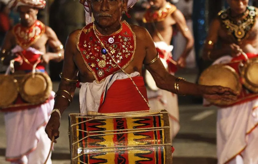 Kandy Perahera Day Tour from Colombo