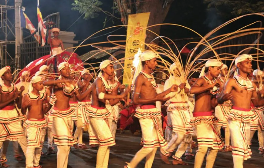 Kandy Perahera Day Tour from Colombo